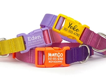 Color-Block Personalized Dog Collar: Engraved Buckle, Heavyweight Nylon Webbing