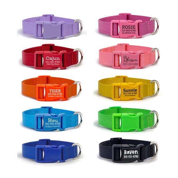 Personalized Monochromatic Dog Collar Rainbow Webbing Solid Color