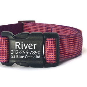 Puede incluir: Un collar de perro morado y naranja con una hebilla negra. La hebilla tiene el nombre "River", el n&uacute;mero de tel&eacute;fono "312-555-7890" y la direcci&oacute;n "53 Blue Creek Rd" grabados en ella.