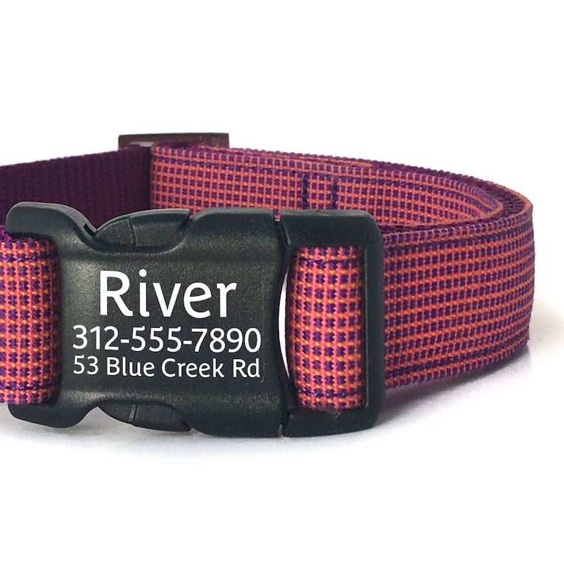 Puede incluir: Un collar de perro morado y naranja con una hebilla negra. La hebilla tiene el nombre "River", el n&uacute;mero de tel&eacute;fono "312-555-7890" y la direcci&oacute;n "53 Blue Creek Rd" grabados en ella.