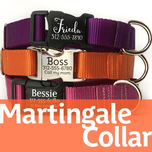 Personalized Martingale Dog Collar with Laser Engraved Buckle - Nylon Webbing Collar with Pet ID - Limited-Slip Collar with Name - ID Tag