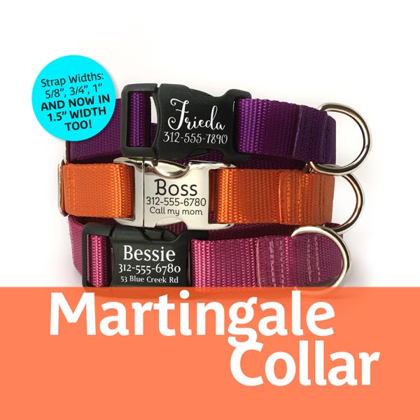 Personalized Martingale Dog Collar: Laser Engraved Buckle, Nylon Webbing