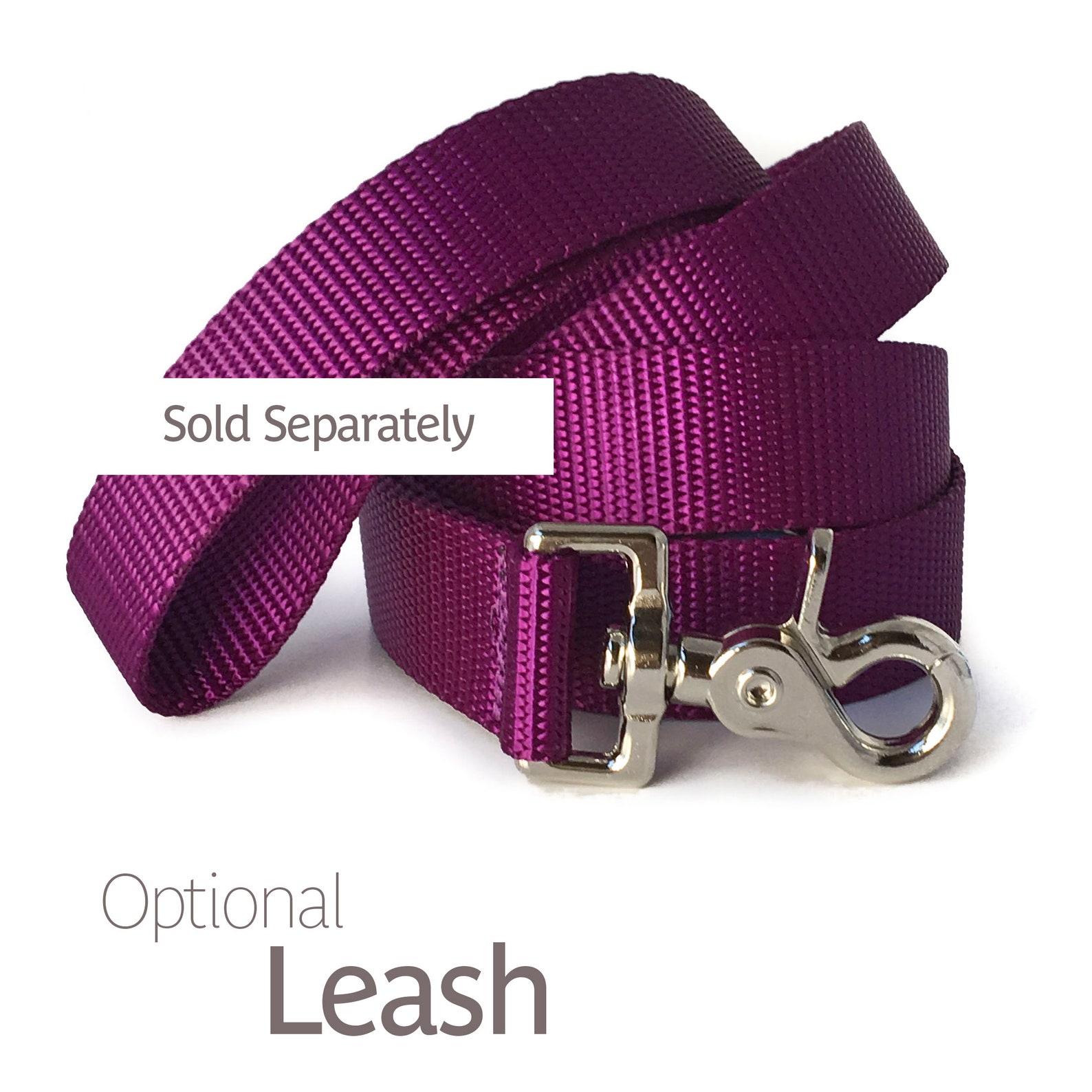 Personalized Dog Collar with Engraved Buckle Nylon Webbing Etsy