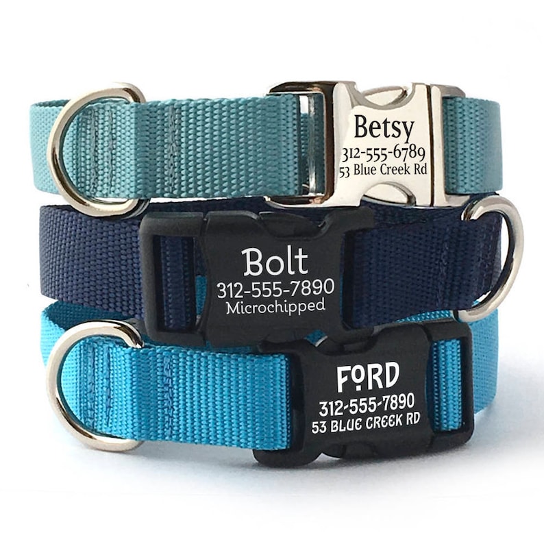 Personalized Dog Collar Engraved Buckle Dog Collar Blue Etsy Australia