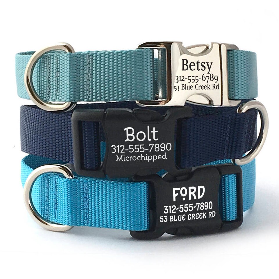 Personalized Dog Collar Engraved Buckle Dog Collar Blue Etsy
