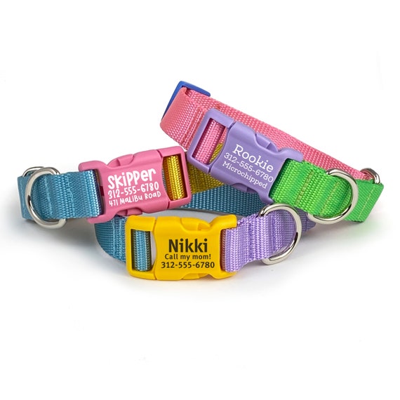 Personalised Dog Collar - Louie in Blue or Pink - Modern Pets