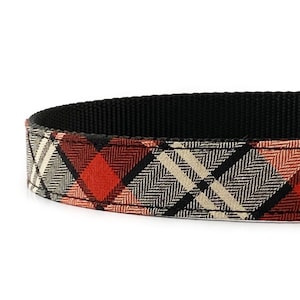 May include: A black and red plaid dog collar with a black webbing base.