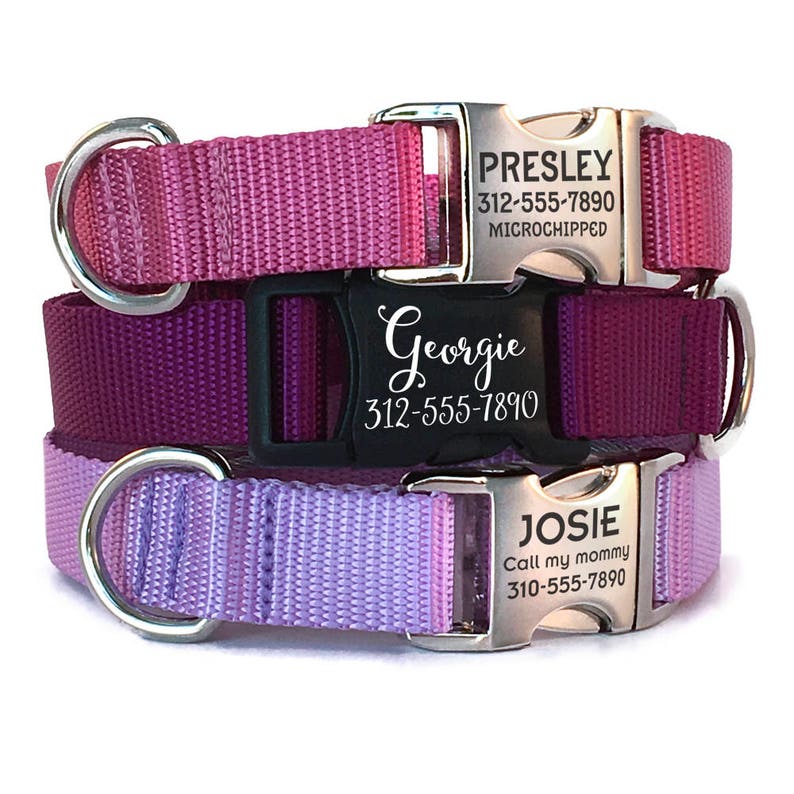 Personalized Dog Collar with Engraved Buckle Nylon bing Etsy