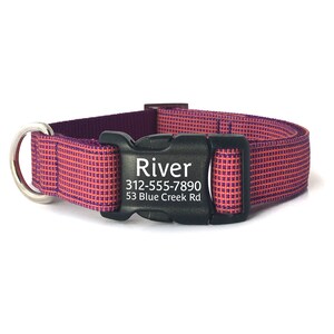 Puede incluir: Collar de perro morado y naranja con una etiqueta personalizada negra que dice "River 312-555-7890 53 Blue Creek Rd."
