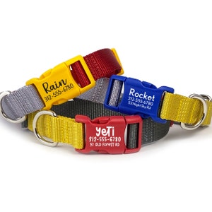 Color-Block Personalized Dog Collar: Engraved Buckle, Heavyweight Nylon Webbing