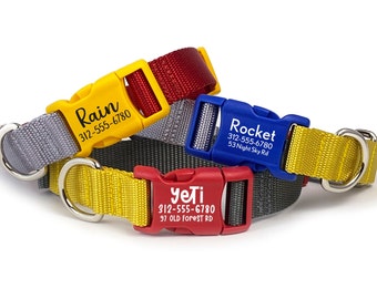 Color-Block Personalized Dog Collar: Engraved Buckle, Heavyweight Nylon Webbing