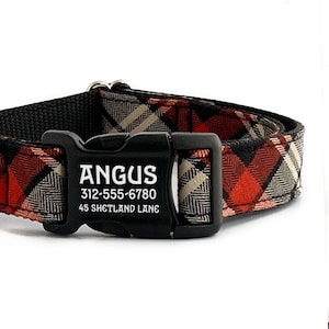 May include: Red and black plaid dog collar with a black buckle. The buckle has the name "ANGUS" and the phone number "312-555-6780" and the address "45 SHETLAND LANE" engraved on it.