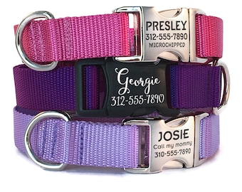 Personalized Dog Collar with Engraved Buckle - Nylon Webbing Dog Collar with Pet ID - Name Dog Collar - Engraved ID Tag - Durable Collar