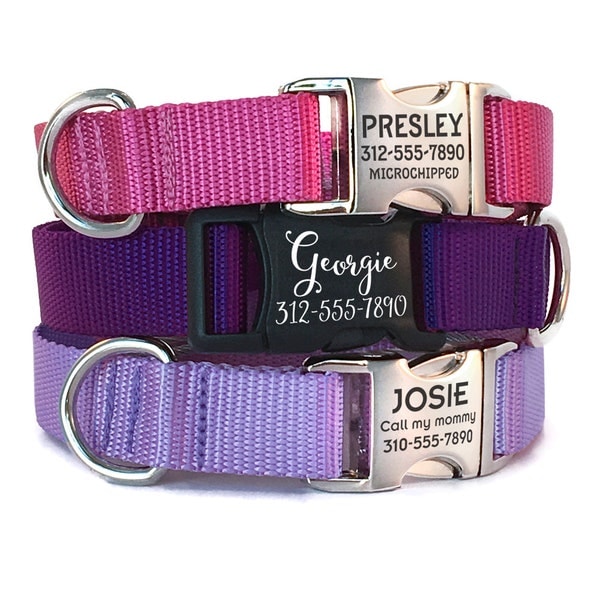 Personalized Dog Collar with Engraved Buckle - Nylon Webbing Dog Collar with Pet ID - Name Dog Collar - Engraved ID Tag - Durable Collar