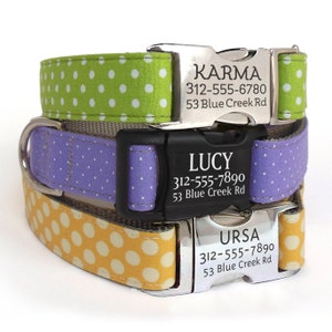 May include: Three dog collars with personalized silver tags. The collars are green, purple, and yellow with white polka dots. The tags have the names Karma, Lucy, and Ursa, phone numbers, and addresses.