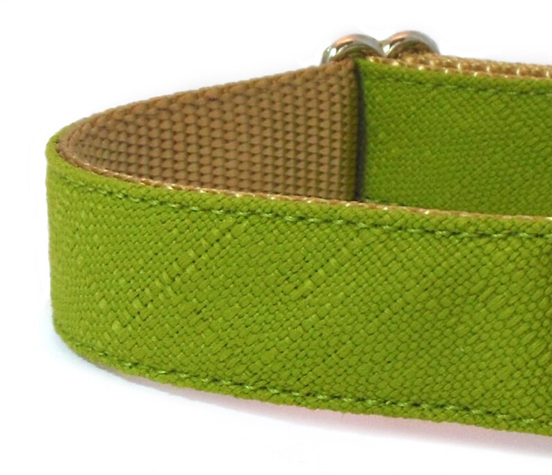 Durable Olive Green Dog Collar Rugged Dog Collar in an Etsy