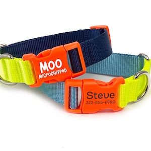 Color-Block Personalized Dog Collar | Colorful Dog Collar with Pet ID | Name ID Dog Collar with Engraved Buckle | Nylon Webbing Dog Collar