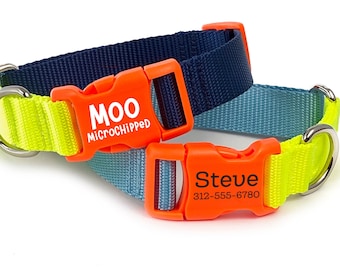 Color-Block Personalized Dog Collar: Engraved Buckle, Heavyweight Nylon Webbing