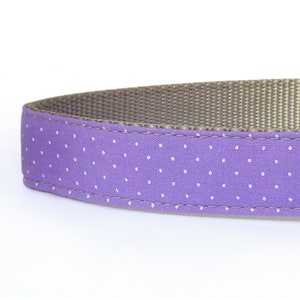 May include: A purple dog collar with white polka dots and a brown webbing backing.