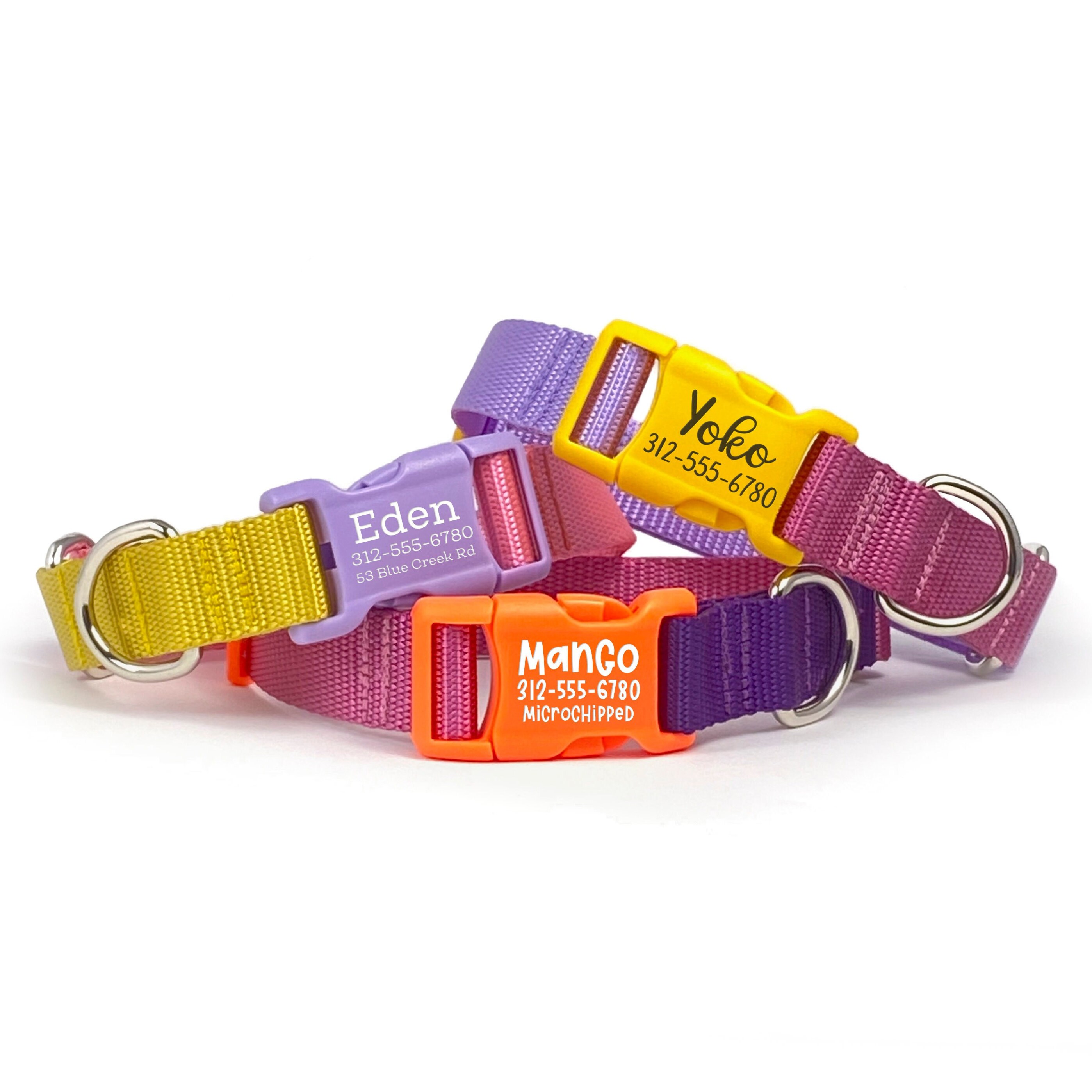 Girl Dog Collar Colors
