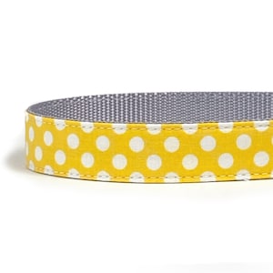 Yellow Polka Dot Dog Collar: Cotton Fabric, Gray Nylon Webbing