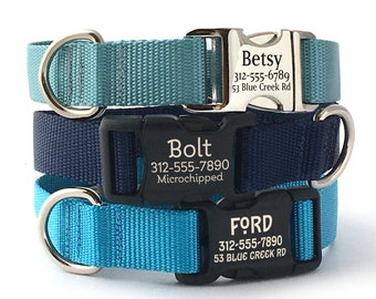 Personalized Blue Dog Collar: Engraved Buckle, Durable Nylon Webbing
