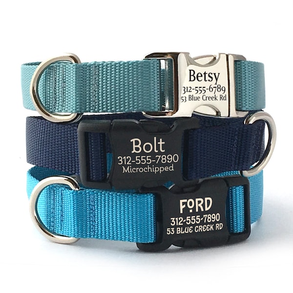 Gepersonaliseerde blauwe hondenhalsband: gegraveerde gesp, duurzaam nylon