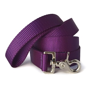 Op de afbeelding: Een paarse nylon hondenriem met een zilveren clip.