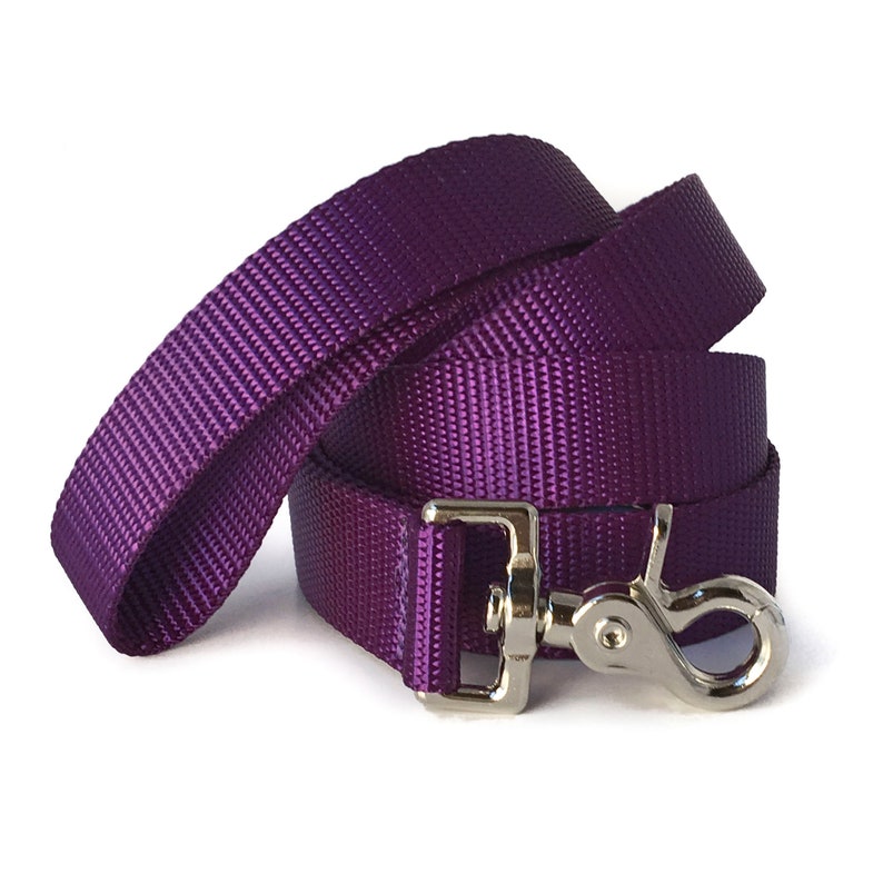 May include: A purple nylon dog leash with a silver clip.