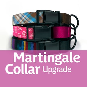 Upgrade zum Martingale Hundehalsband - Schnallenhalsband im Martingale Stil - Windhundhalsband - Limitiertes Schlupfhalsband -