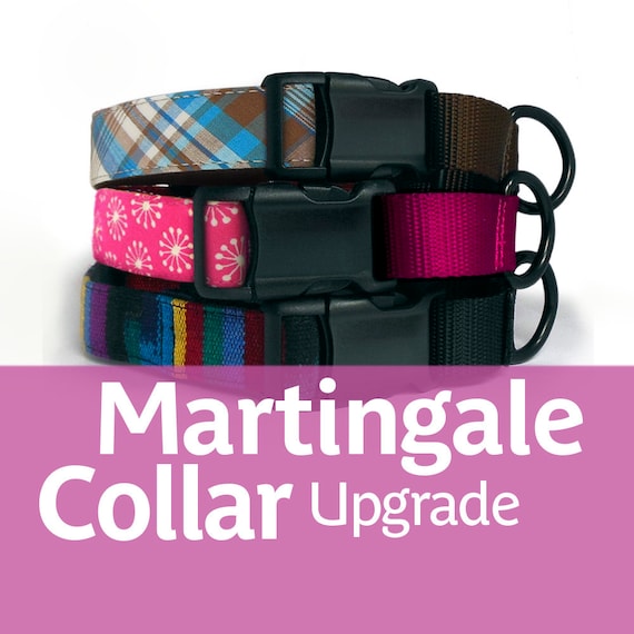 Martingale Dog Collar Upgrade: Buckle Style, Limited Slip
