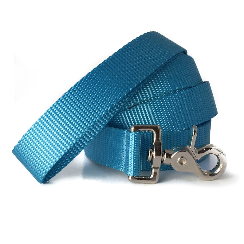 May include: A teal blue nylon dog leash with a silver clip.