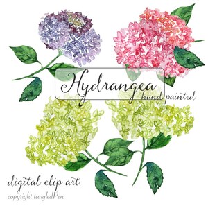 Aquarell Clip Art - handgemalte Hortensien - digitaler Download - Hochzeitseinladung