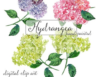 watercolor clip art - hand painted hydrangea - digital download - diy wedding invitation