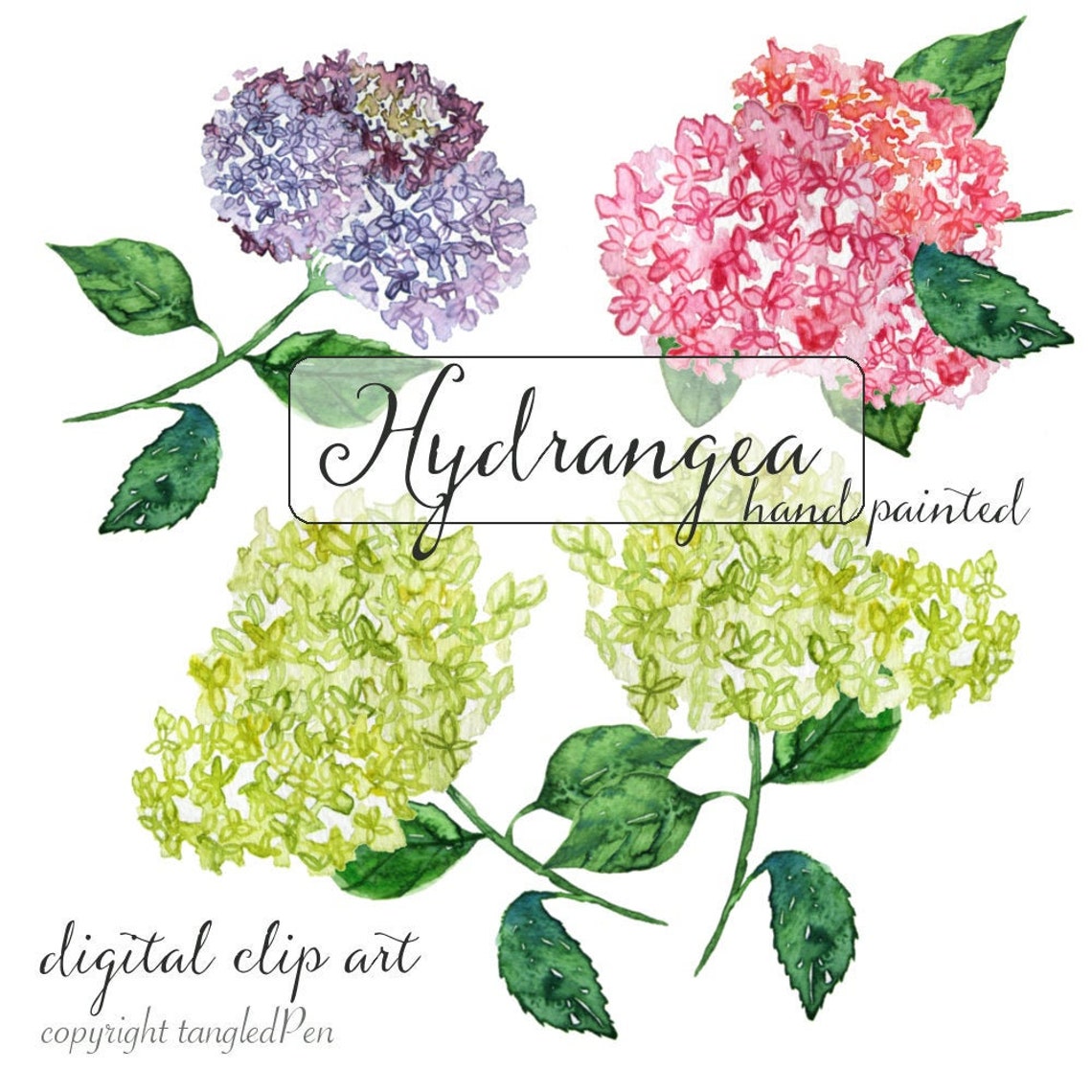 Watercolor Clip Art - Hand Painted Hydrangea - Digital Download - Diy ...