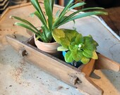 Vintage Wooden Brick Molds From India With Handles Are Perfect For Knick Knacks Storage Potted Plants and Cassettes