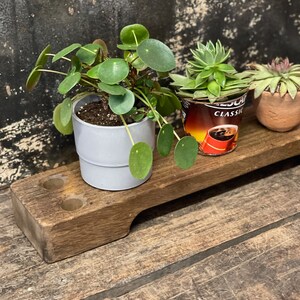 May include: Three potted plants on a wooden shelf. The plants are a round leaf plant in a gray pot, a succulent in a brown pot, and a succulent in a metal can with the word "CLASSIC" printed on it.