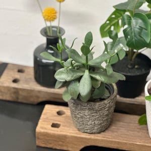 Vintage Wood Plant Riser Set: Repurposed Indian Swing Seat Stands image 8