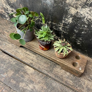 May include: A wooden plant stand with three holes, holding three potted plants. The stand is made of dark brown wood and has a rustic look. The plants are a succulent, a round-leafed plant, and a leafy plant.