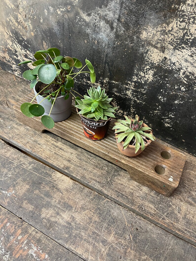May include: A wooden plant stand with three holes, holding three potted plants. The stand is made of dark brown wood and has a rustic look. The plants are a succulent, a round-leafed plant, and a leafy plant.
