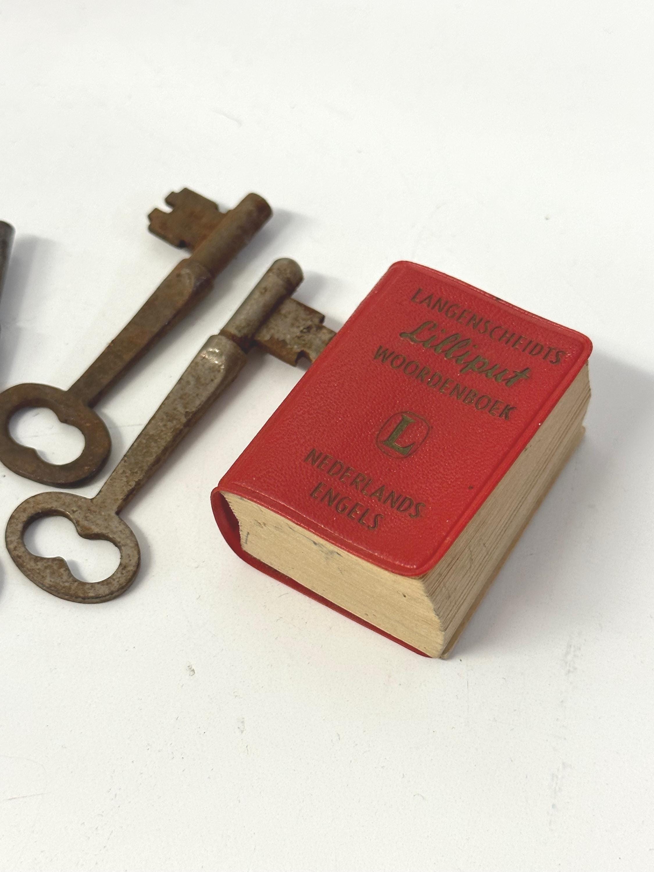 Lilliput Dutch Mini Dictionary, Antique Miniature Book, Vintage Nederlands Engels Language Reference , Unique Mini Book for Dollhouse Gifts