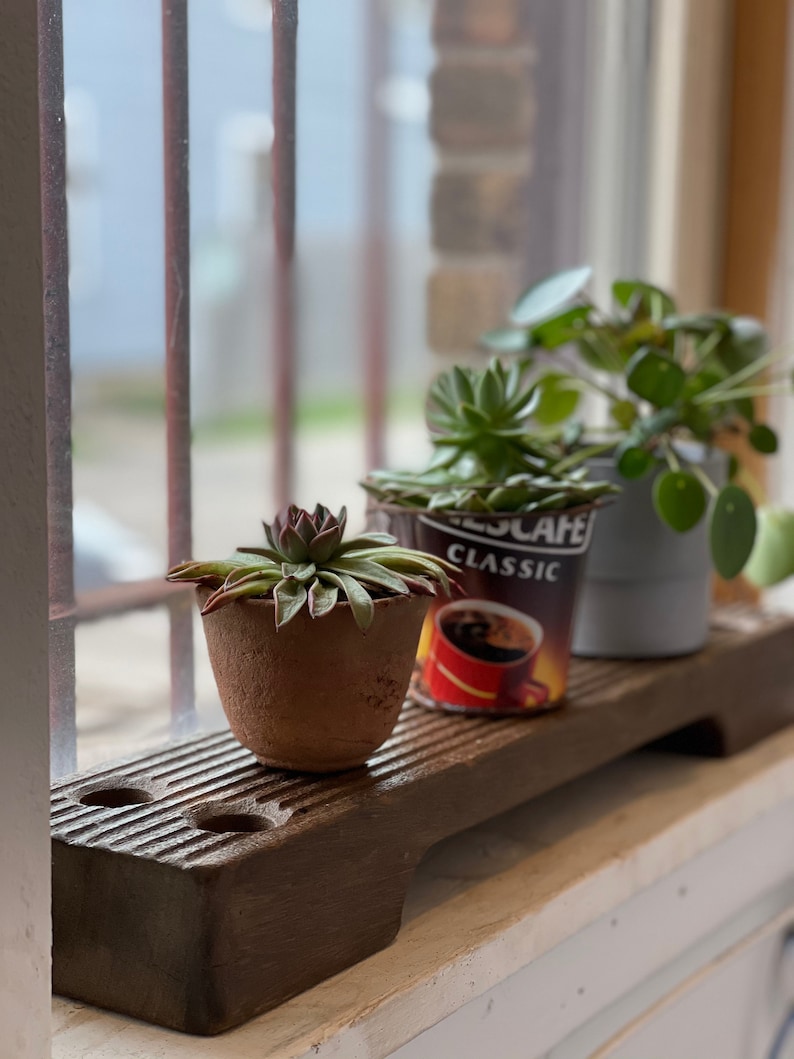 May include: Three potted succulents on a wooden shelf. The shelf is brown and has a grooved texture. The succulents are in terracotta pots and are green. The shelf is in front of a window with a view of a brick wall.