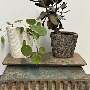May include: Two potted plants sit on a weathered, blue-green wooden shelf. One plant is in a white textured pot, the other in a textured gray pot. The shelf has a distressed appearance, adding a rustic charm to the display.