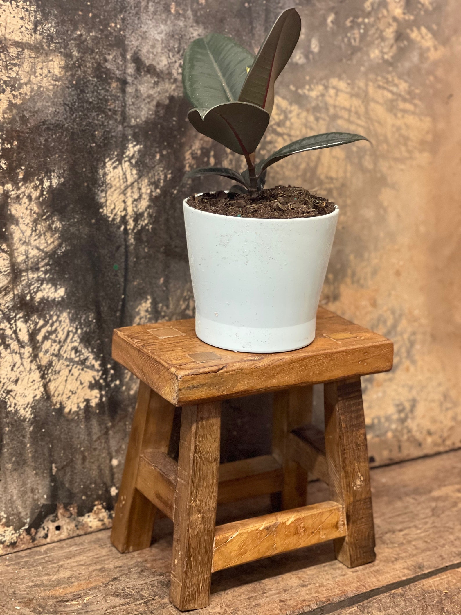 Small Wood Riser Plant Stand Made From Repurposed Wood Clean Etsy