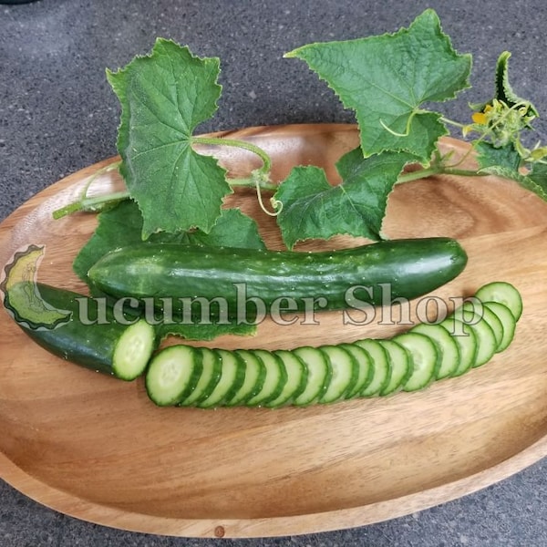 24 Green Finger Cucumber Seeds