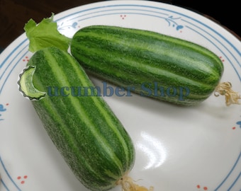 Carosello Striped Leccese Cucumber