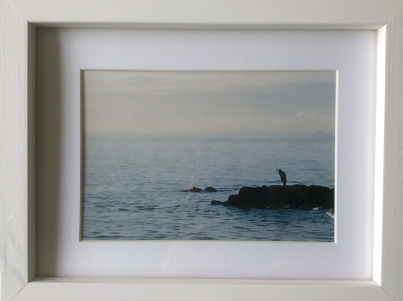 Framed Seaside Heron Photograph Scottish Coast Landscape Image 0