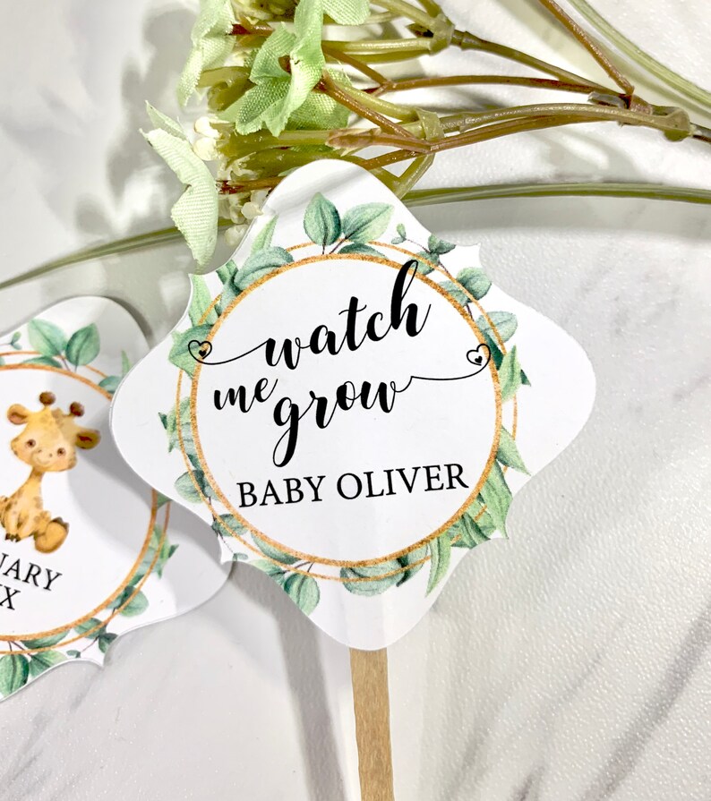 Watch Me Grow Tags Baby Shower Favor Labels Succulents Tags - Etsy