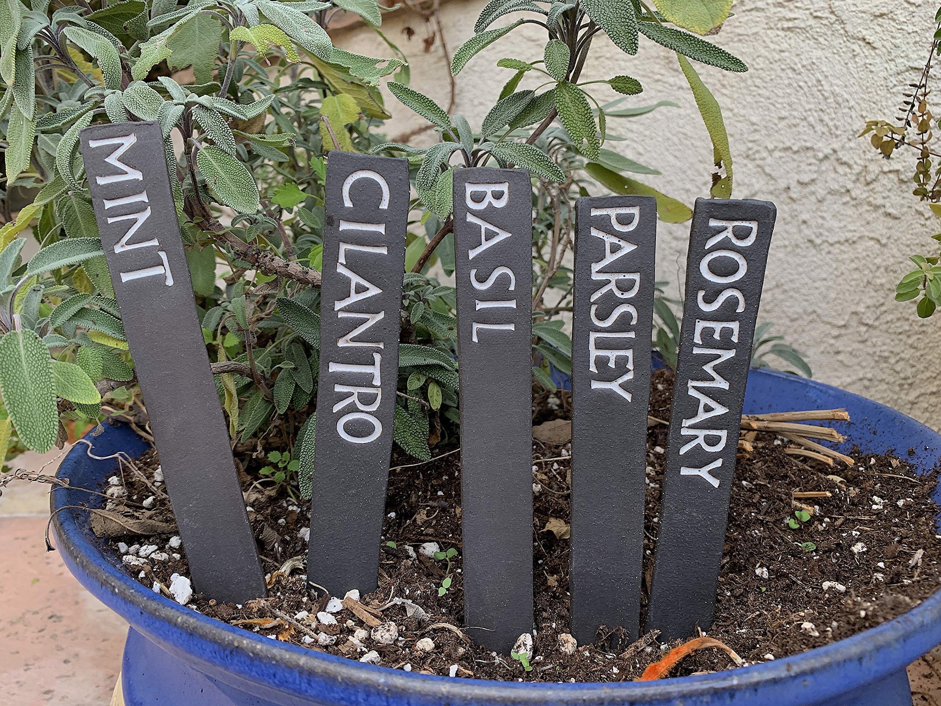 Ensemble d'étiquettes d'herbes d'argile Noire de 5, Enseigne en Céramique Jardin Faite à La Main Pou