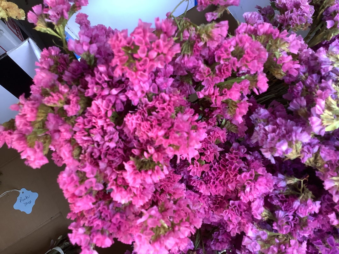 Dried Statice in Pink Shades - Etsy